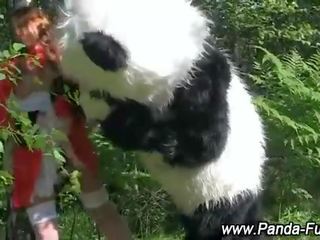 Plush panda fairytale for red riding hood