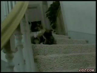 Casandra and ebony rim each other on stairs
