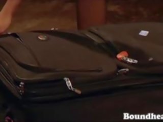 Beautiful Luggage Surprise