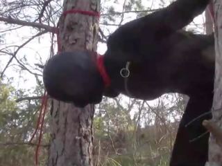 Tied up to a tree outdoor on inviting clothes&comma; wearing pantyhose and high ankle boots heels&comma; rough fuck