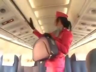 Aanlokkelijk stewardess zuigen manhood voor cunnilingus